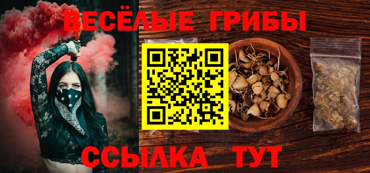 Галлюциногенные грибы ЛСД  что такое   Королёв  Вход с VPN 